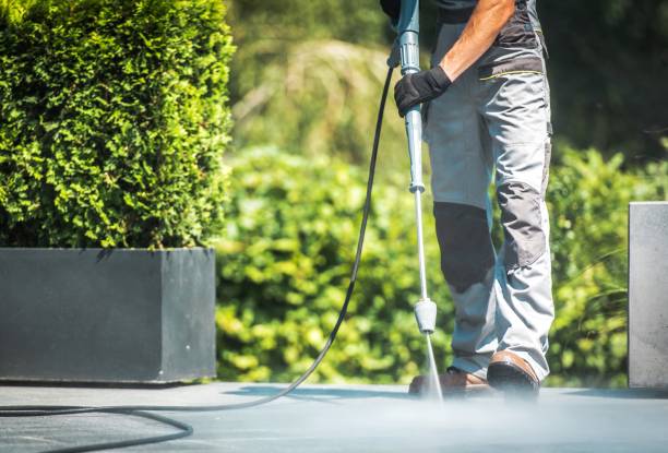 Best Driveway Cleaning and Restoration in White Oak, PA